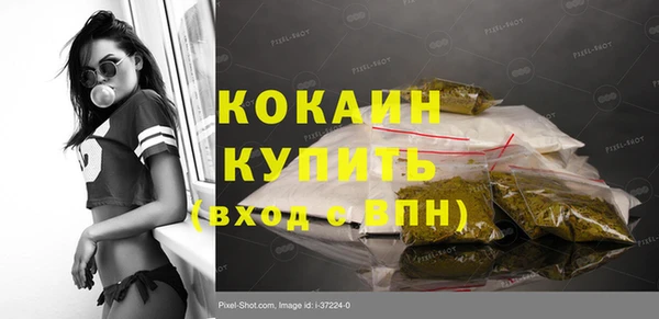 гидра Верея