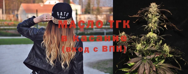 гидра Верея
